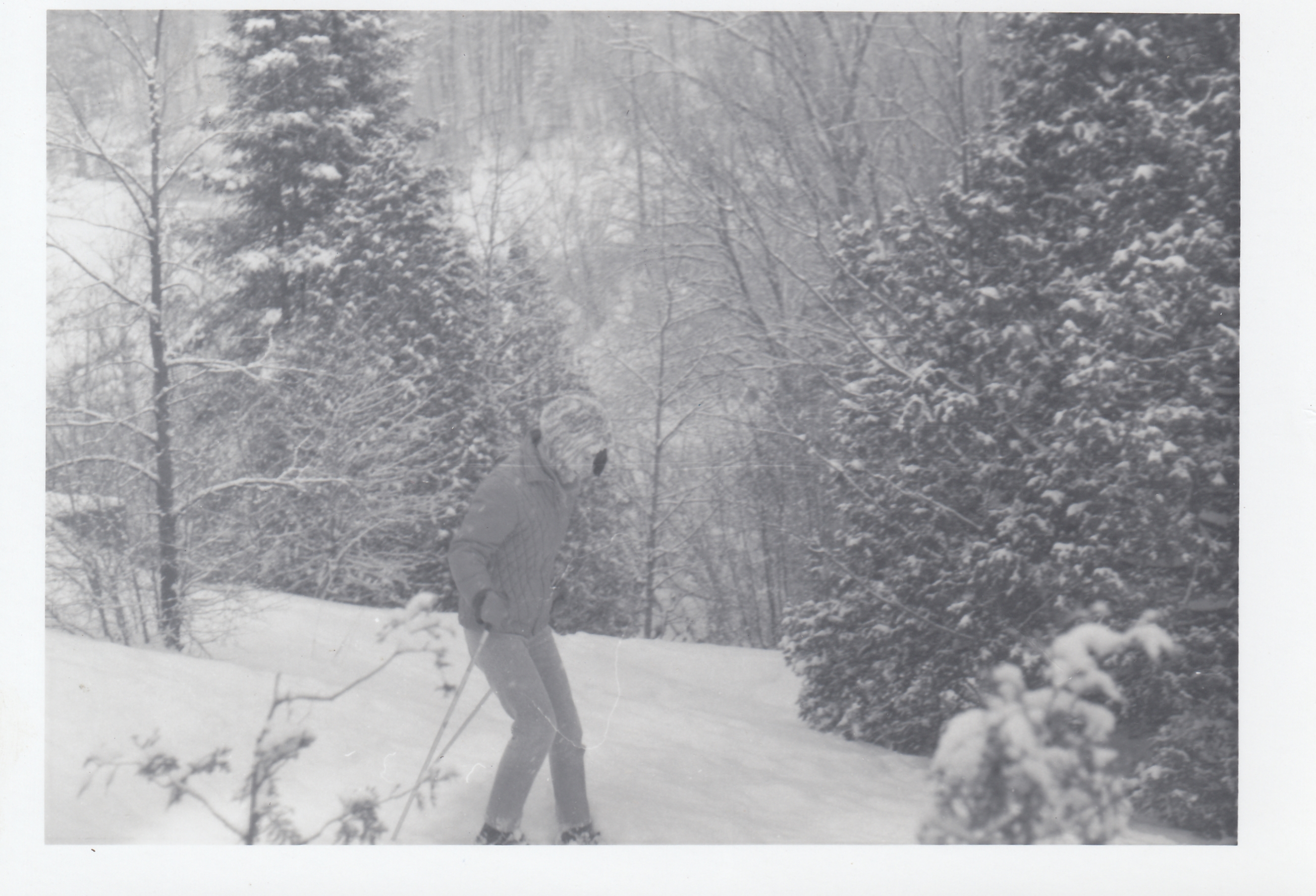 HaliburtonNewYear1967.jpg
